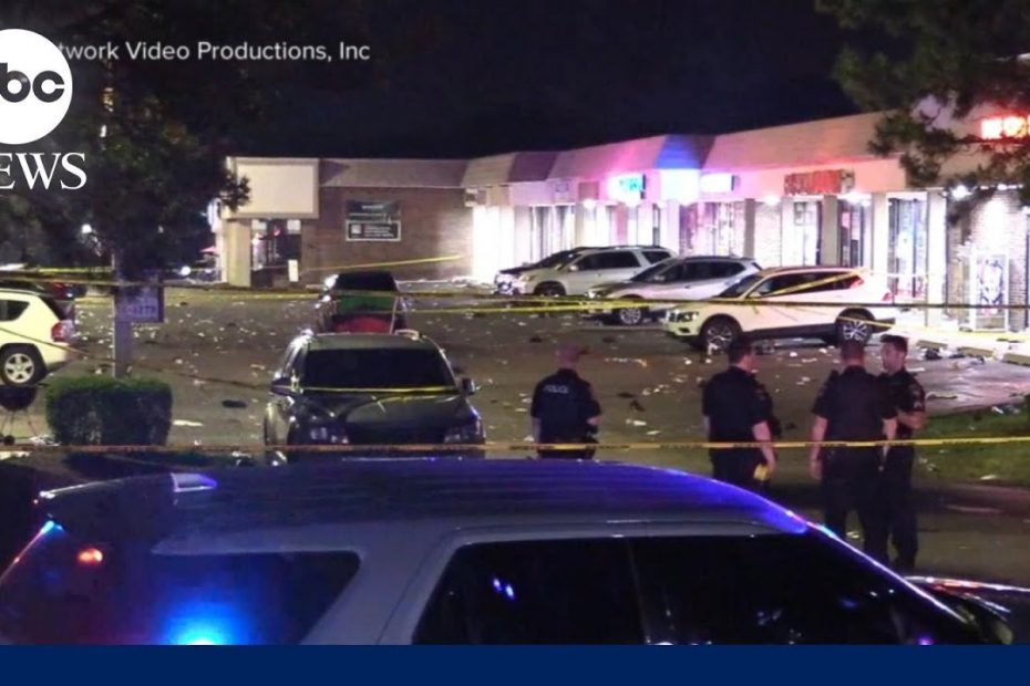 White House condemns gun violence after weekend shootings l WNT