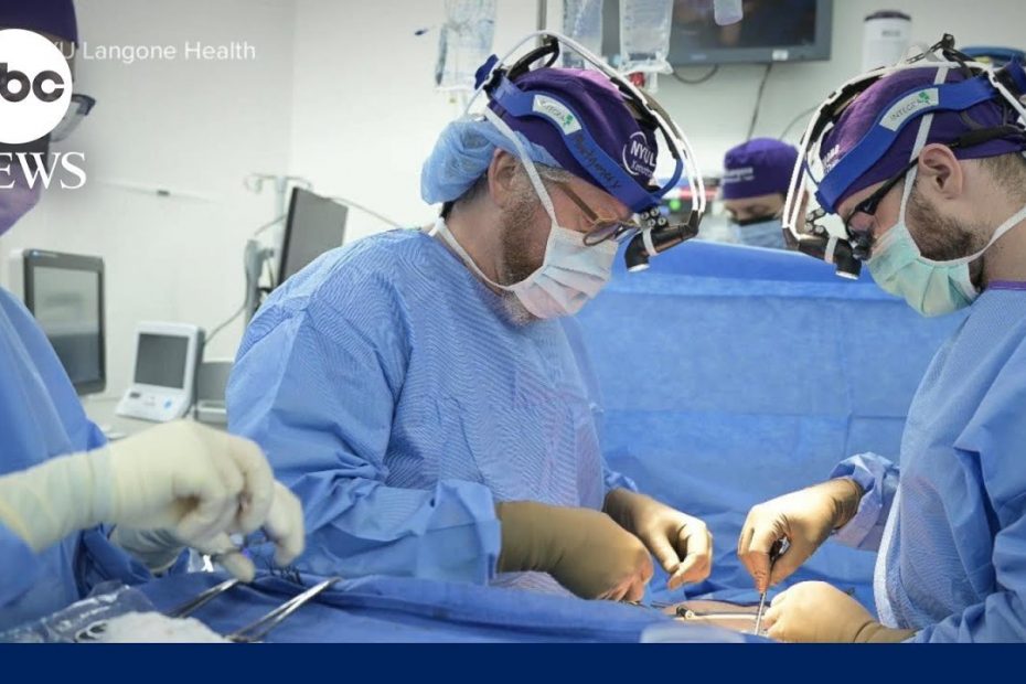 Doctors transplant gene edited pig kidney to brain dead patient
