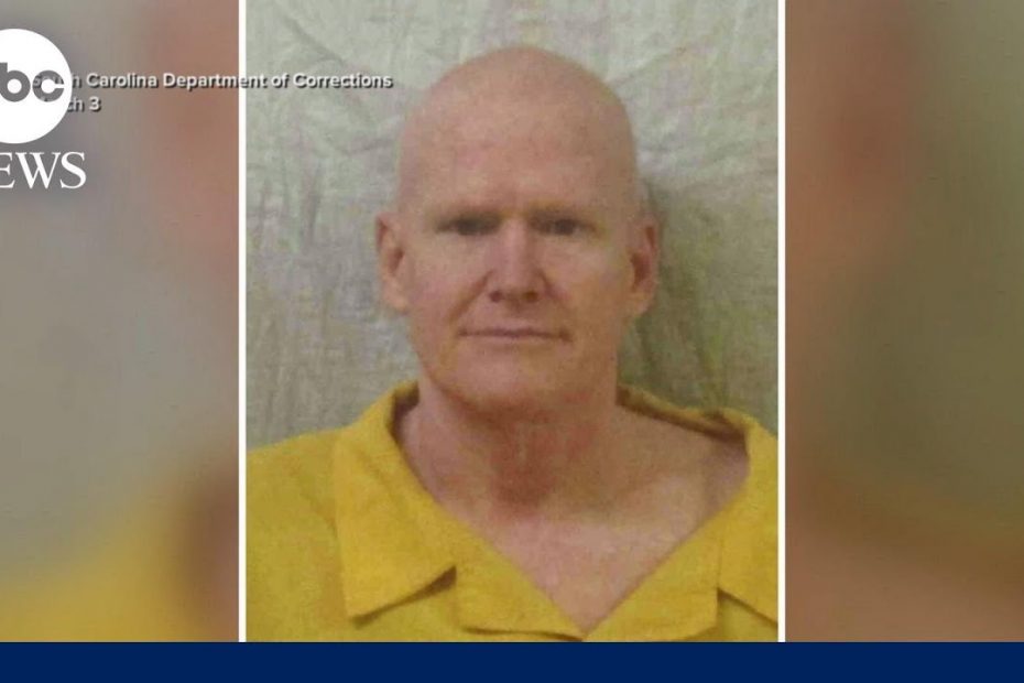Alex Murdaugh pleads not guilty to federal financial crimes