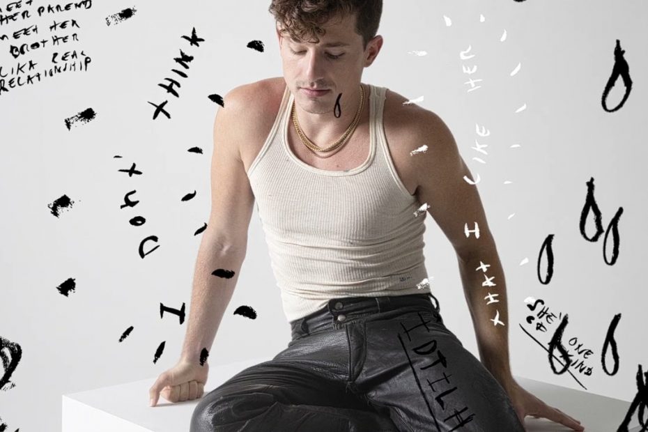 Charlie Puth - I Don't Think That I Like Her (Official Audio)
