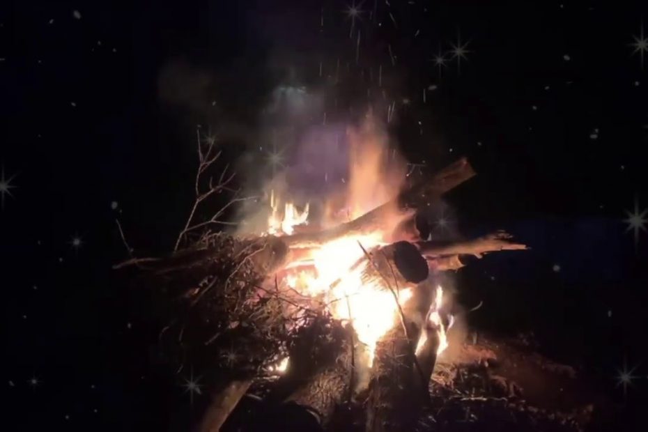 Taylor Swift - willow (lonely witch version) - [yule log]