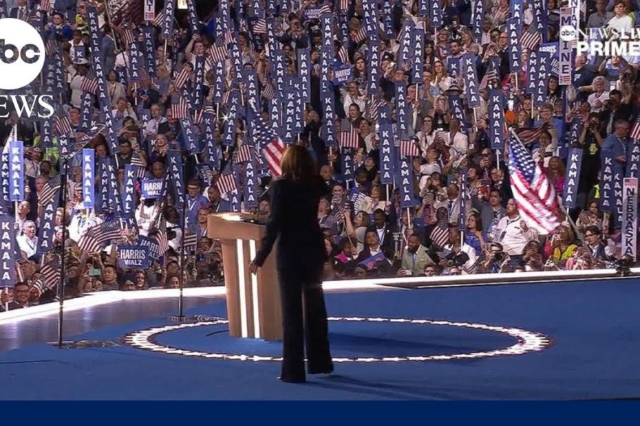 Election 2024: How did we get to this moment?