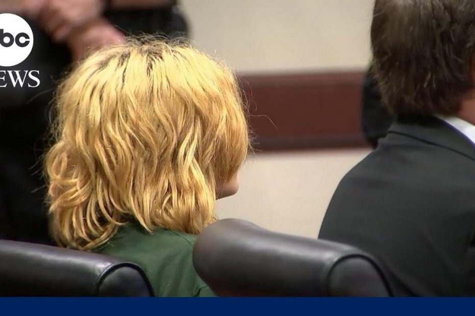 Georgia high school shooting suspect makes 1st court appearance