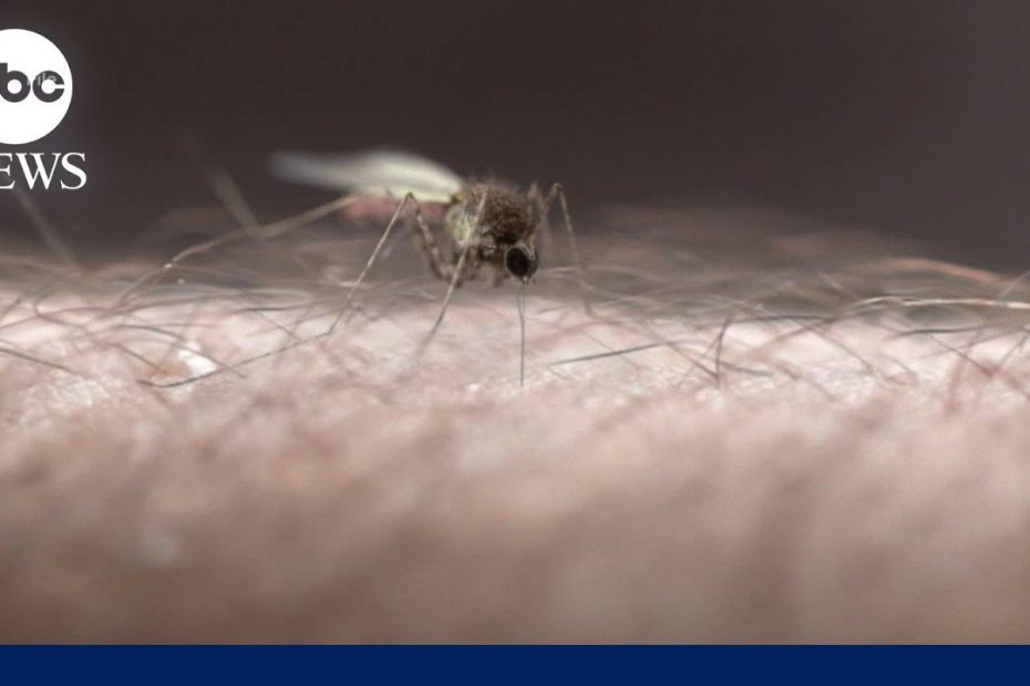 New study finds Wegovy may reduce risk of death from COVID-19