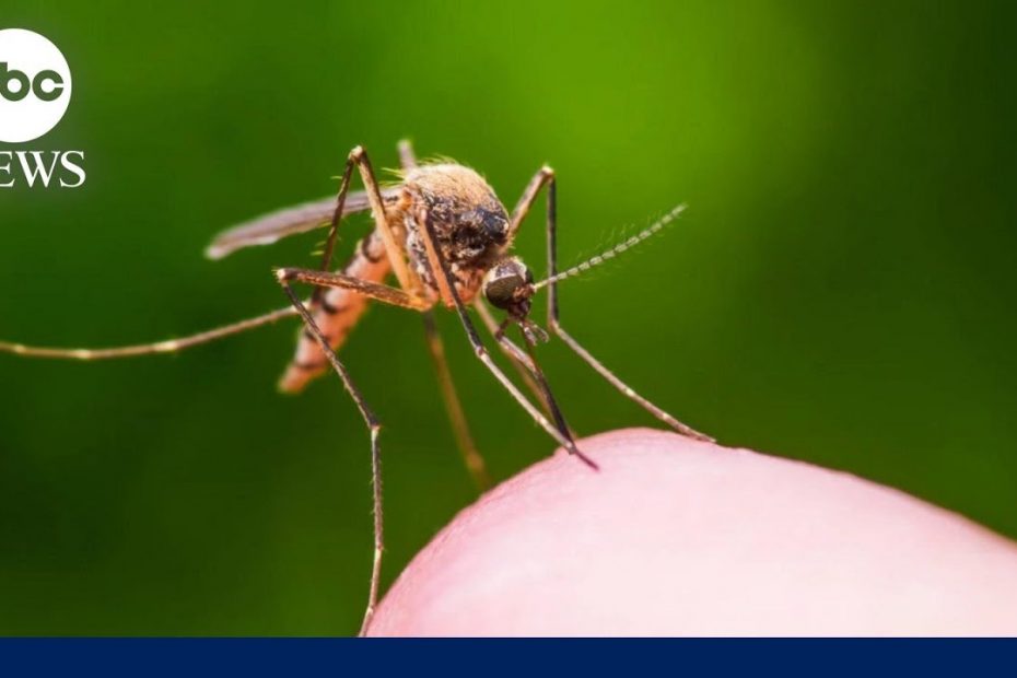 Concerns over West Nile and ‘Triple E’ viruses grow