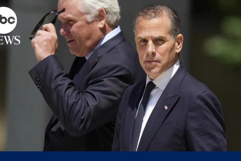 New report claims Hunter Biden tried to get help from government while dad was VP
