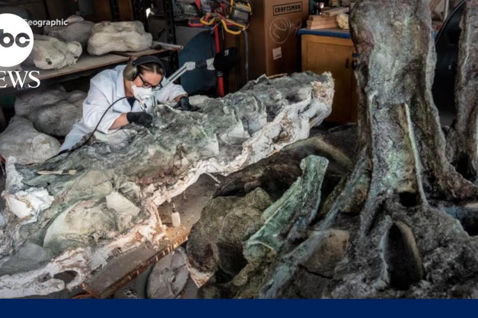 Dr. Nate Smith on discovery of new dinosaur species
