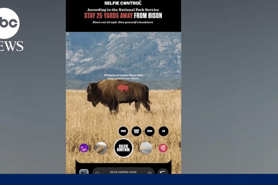 New Instagram filter will help keep Jackson Hole visitors from getting too close to wildlife