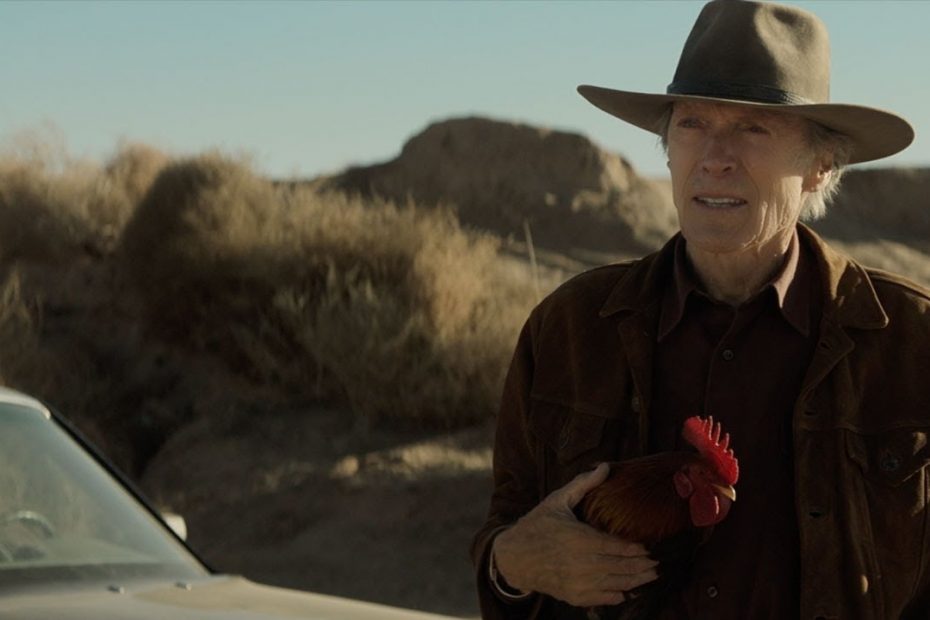 CRY MACHO - Clint Eastwood: A Cinematic Legacy