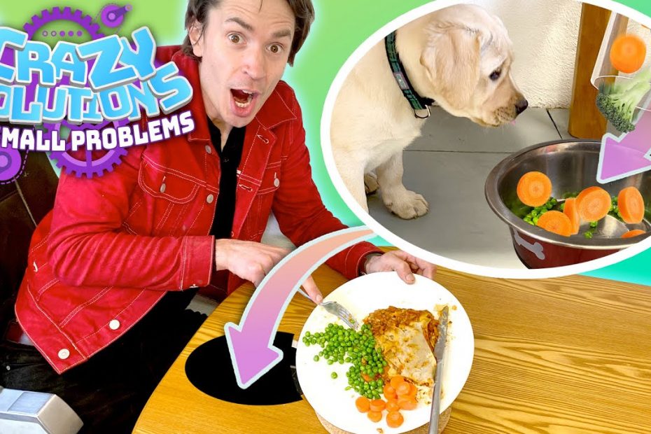 Building a Secret Trap Door Food Chute! | CRAZY SOLUTIONS TO SMALL PROBLEMS