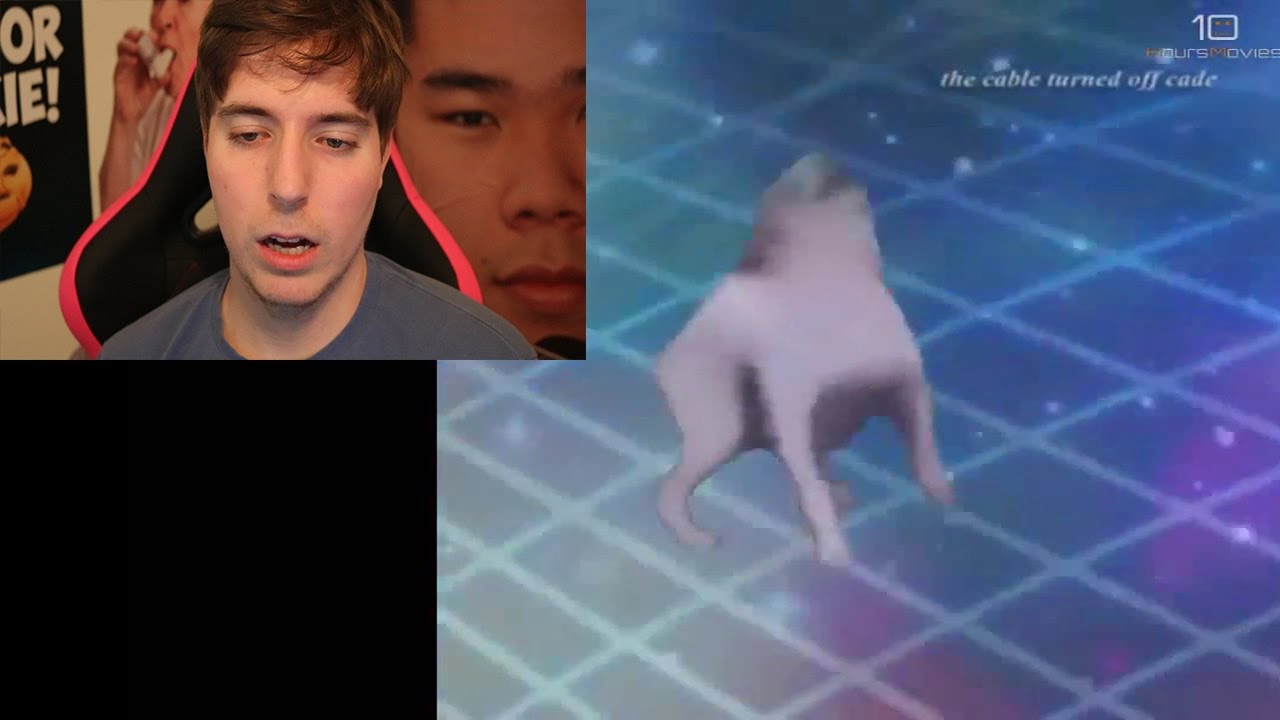 Watching Dance Till You’re Dead For 10 Hours