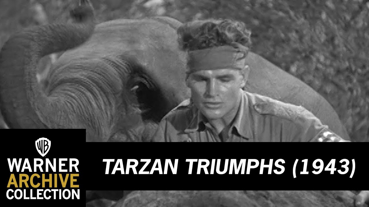 Cheeta and Elephant Kill Nazi | Tarzan Triumphs | Warner Archive