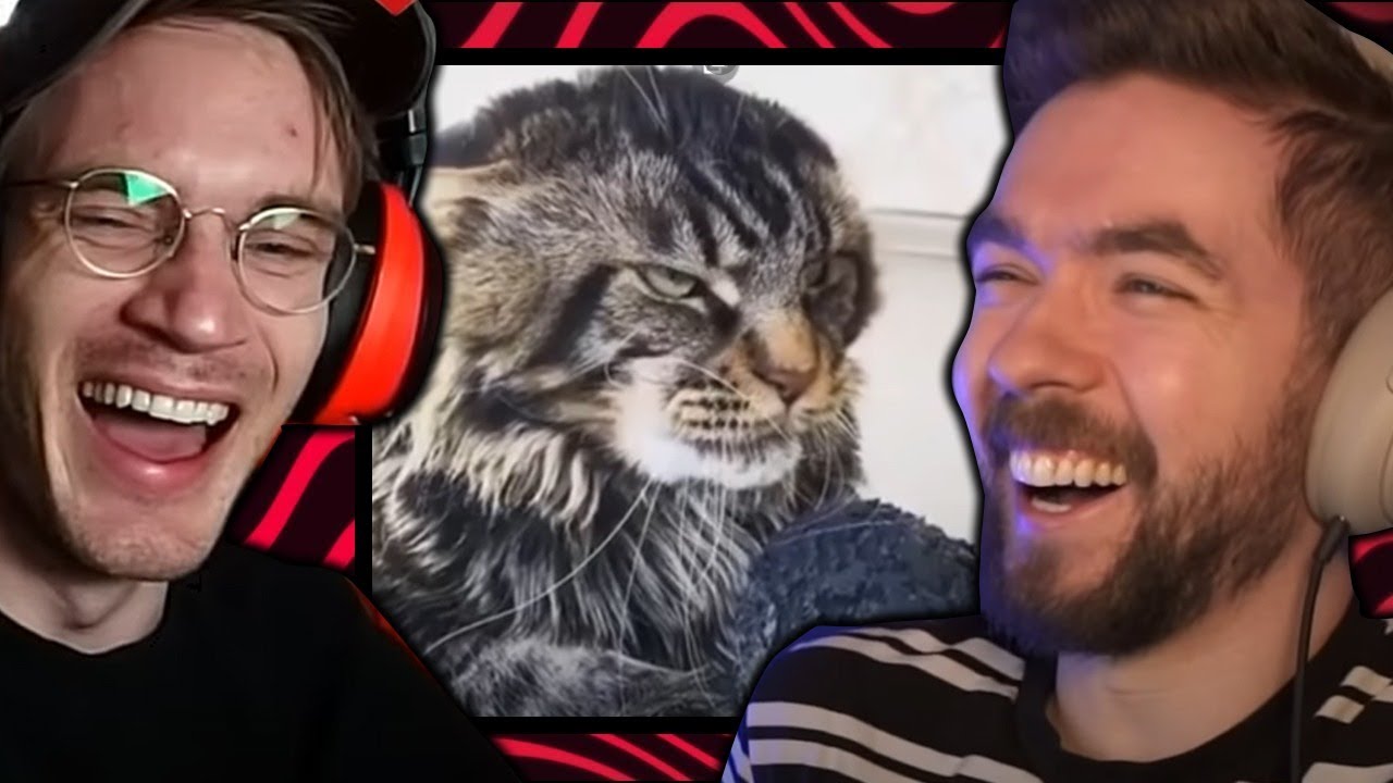 Try Not Laugh, But Loser has to Sing *ft Jackepticeye – YLYL #0074