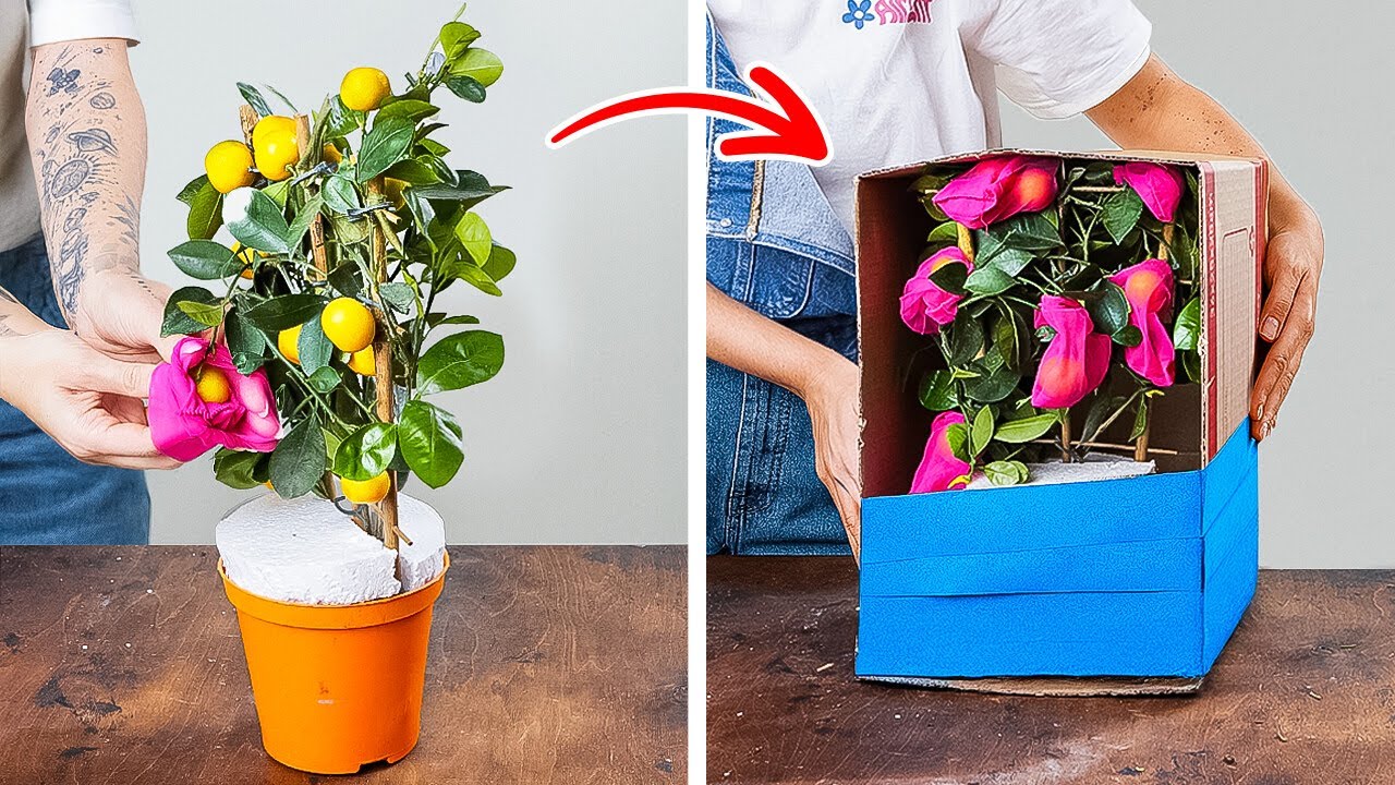 PLANT GROWING HACKS FOR BEGINNERS! Easy Tips That Actually Work  ✨