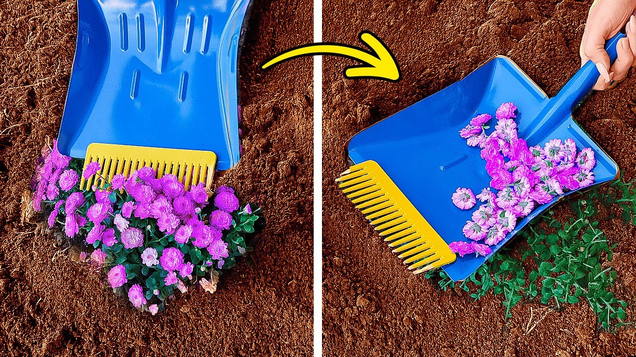 GARDENING HACKS FOR SUMMER   TIPS TO GROW YOUR PLANTS