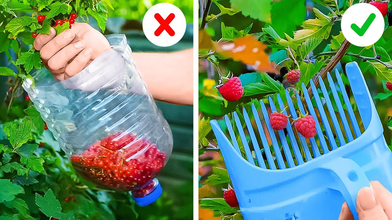 GENIUS GARDEN HACKS EVERYONE SHOULD KNOW!   Easy Plant Tips