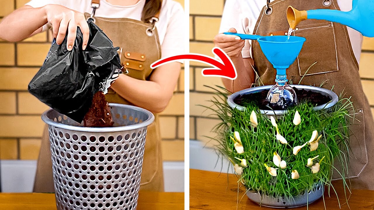 101 DIY GARDENING TRICKS   GROW YOUR PLANTS & UPGRADE YOUR BACKYARD