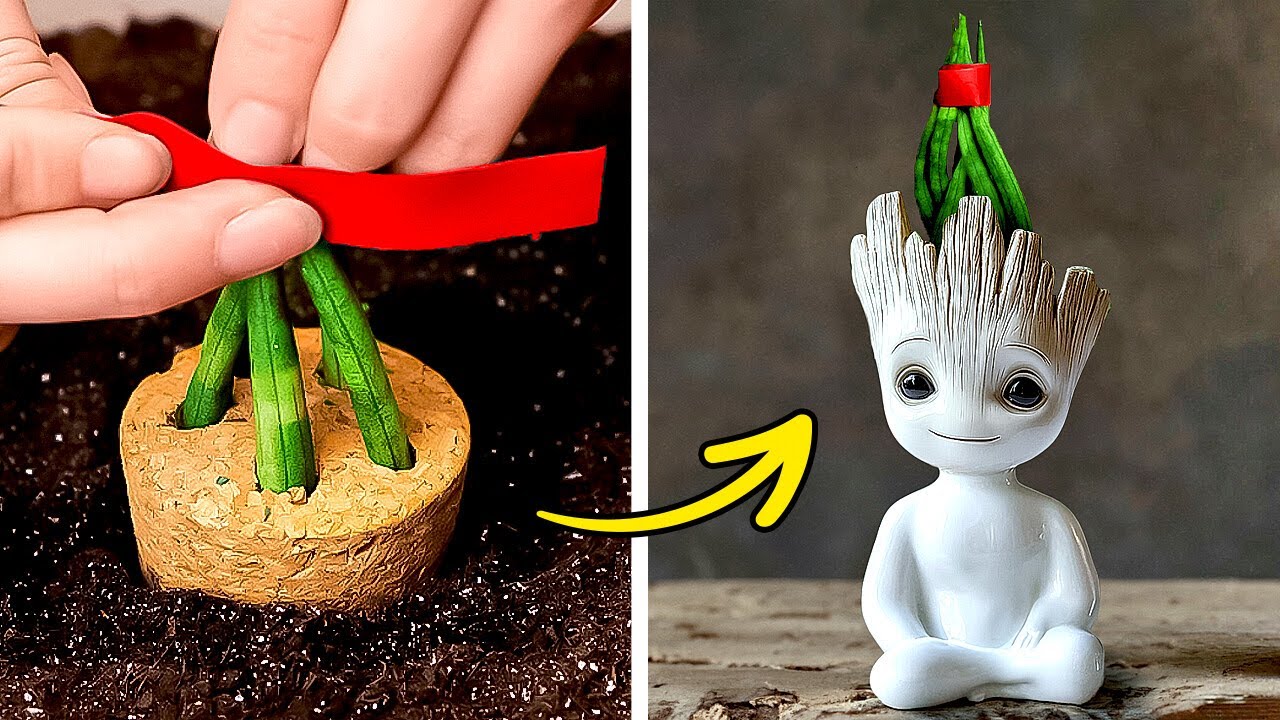 BRILLIANT IDEAS FOR PLANT LOVERS   GARDENING TIPS