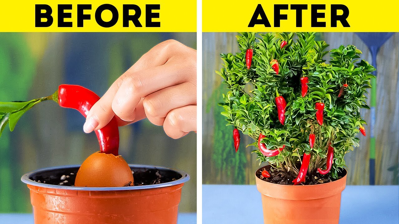 Garden Like a Pro   Transform Your Yard with These Top Hacks and Tips!
