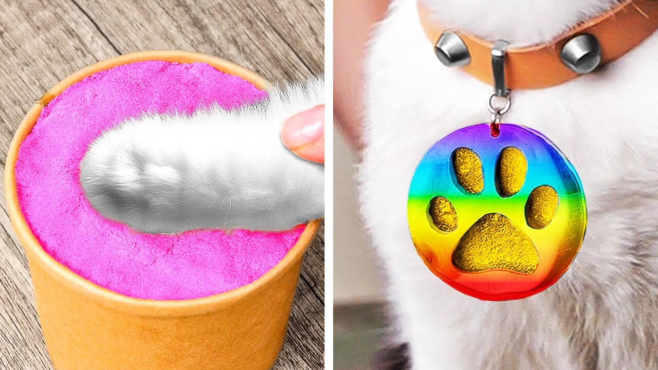 Pet Care Simplified: Genius Hacks for Happy Pets  ✨
