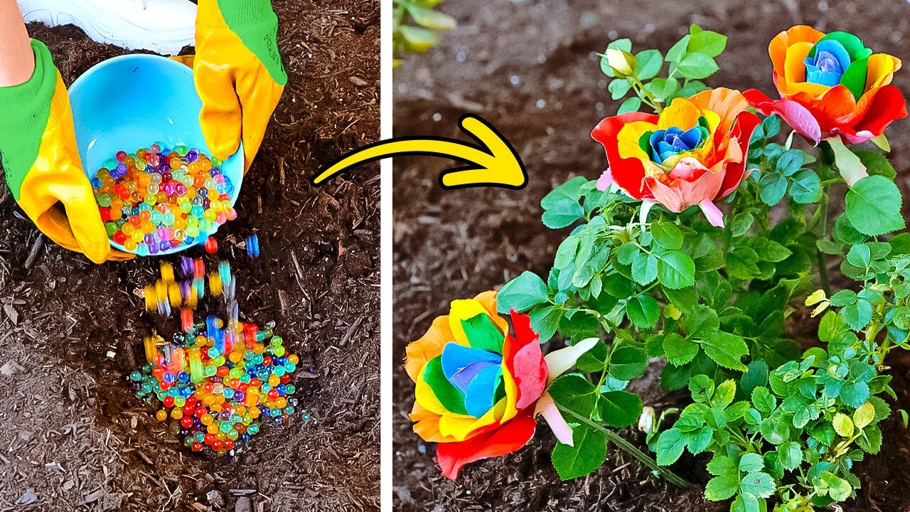 Swift Garden Solutions: Hacks for Effortless Greenery  ‍