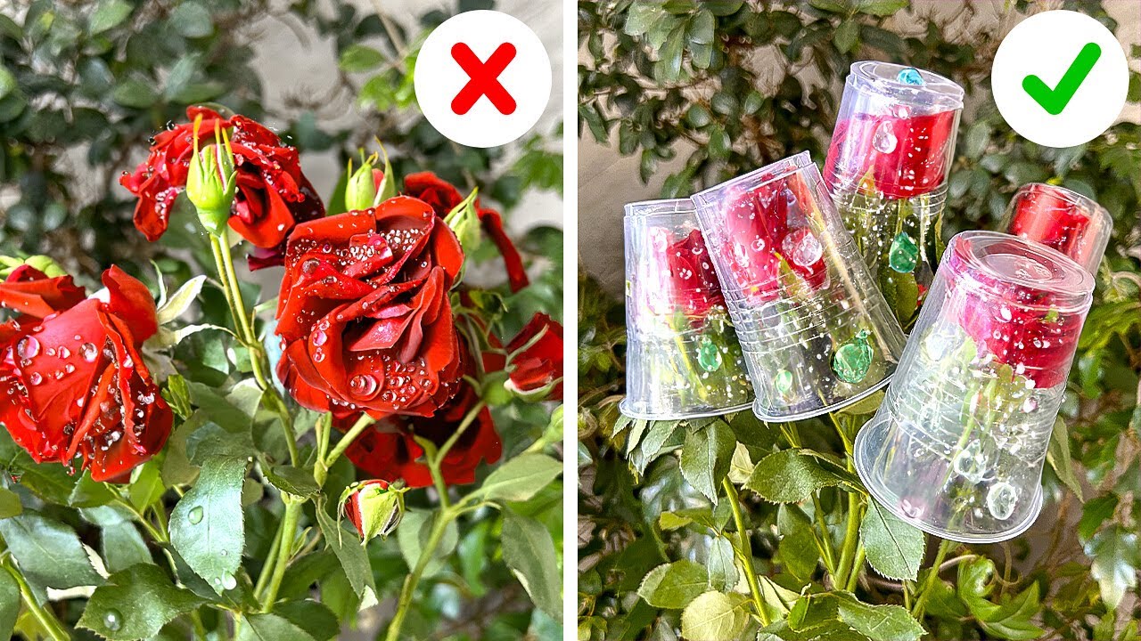 Tried-and-True Gardening Hacks that Actually Work