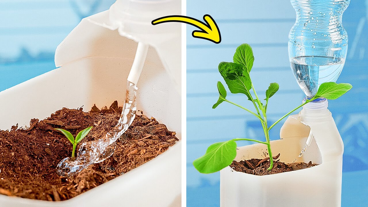 Epic Gardening     Easy Harvesting Hacks And Growing Ideas For The New Season
