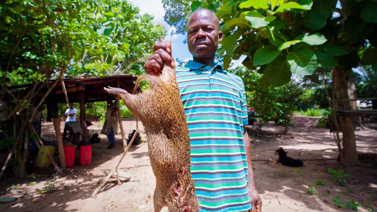 Unique Food in African Jungle!! EXOTIC DELICACY in Ivory Coast!
