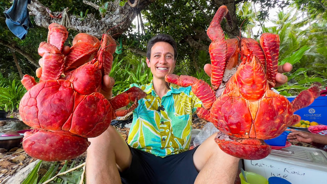 Huge Coconut Crab!!   (UNLIKE Any Other Crab on Earth!!) South Pacific Islands
