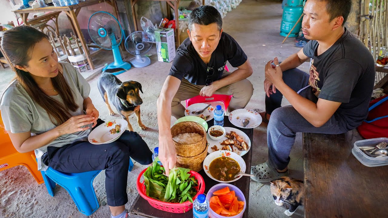 Mountain FOOD PARADISE!!   Backyard Foraging + 2 Village Lunches! | Sakhon Nakhon, Thailand