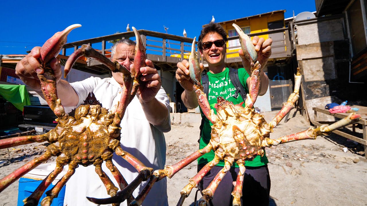 Huge MARTIAN Crab!!   MEXICAN FOOD in Popotla Fishing Village, Mexico!
