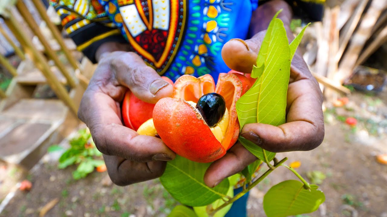 Rastafari Village Food   100% ITAL FOOD + Jamaican Herb Tour   with Rasta I-Win!