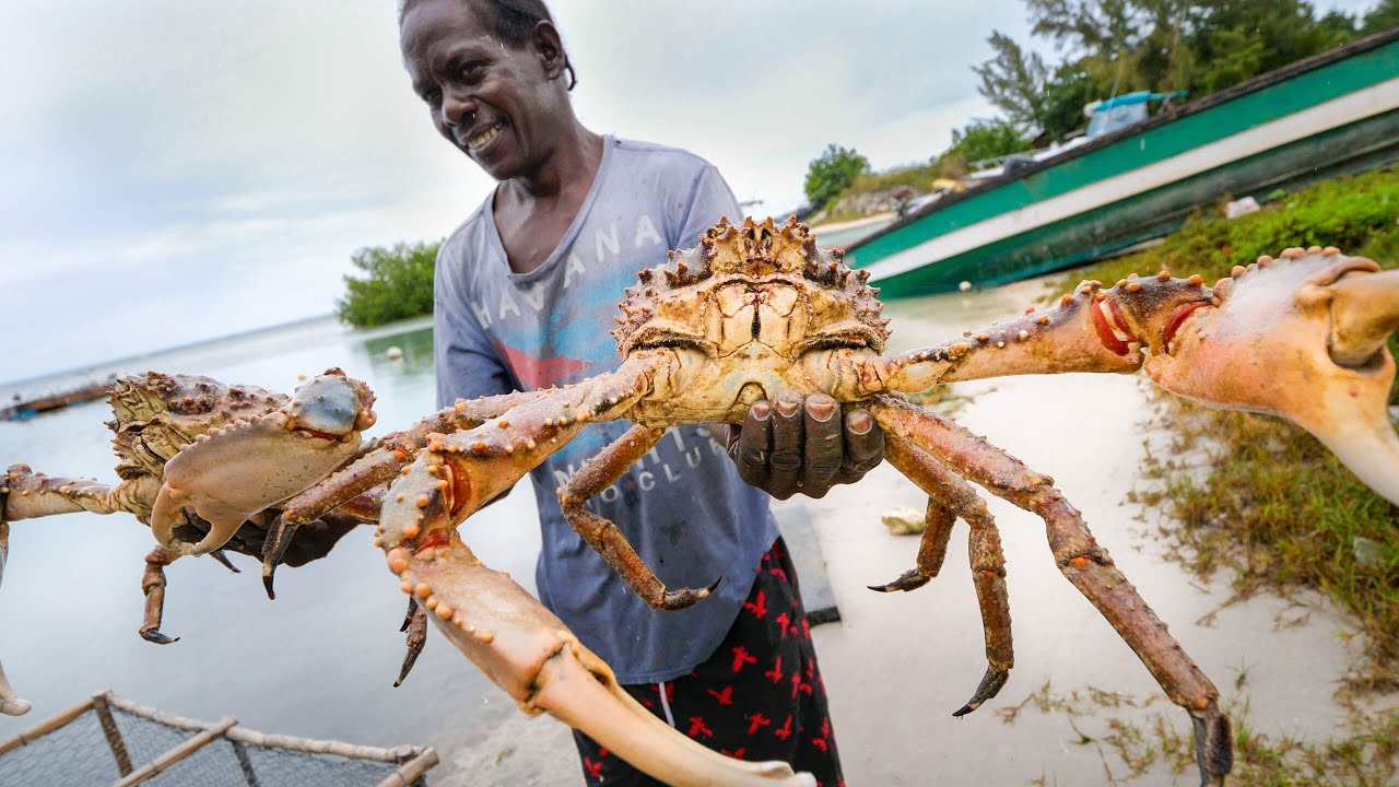 Huge Caribbean KING CRAB   RUNDOWN!! Jamaican Seafood Tour – Jamaica!