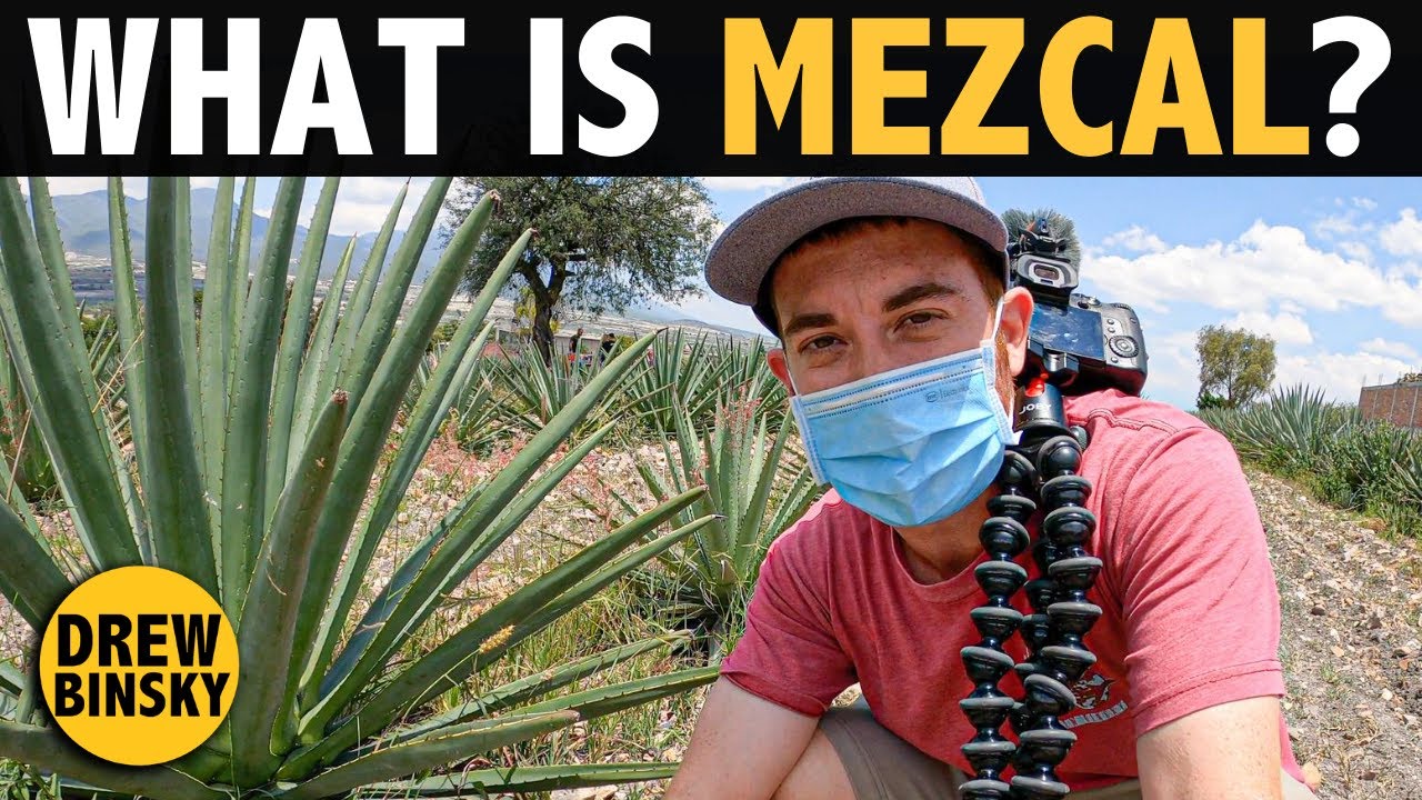 What is MEZCAL? (It’s Better Than Tequila!)