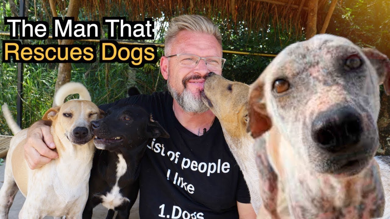 The Man That Rescues Dogs (Thailand’s Soi Dogs)