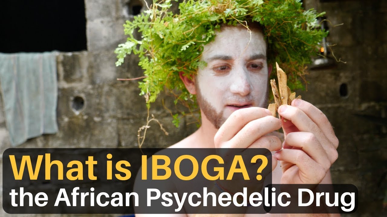 What is IBOGA? The African Psychedelic Drug…