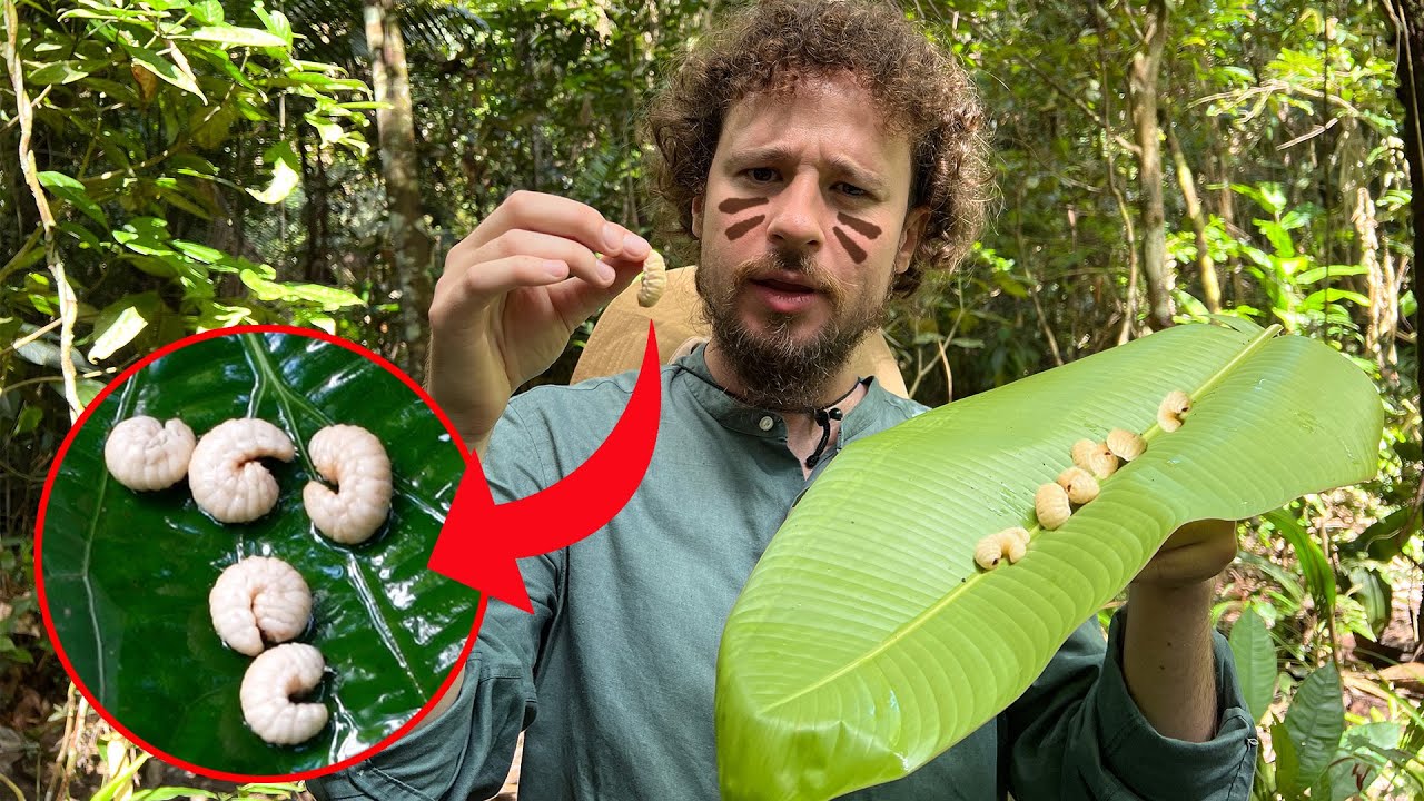 Trucos para sobrevivir en la selva | ¿Qué insectos y hongos comer?