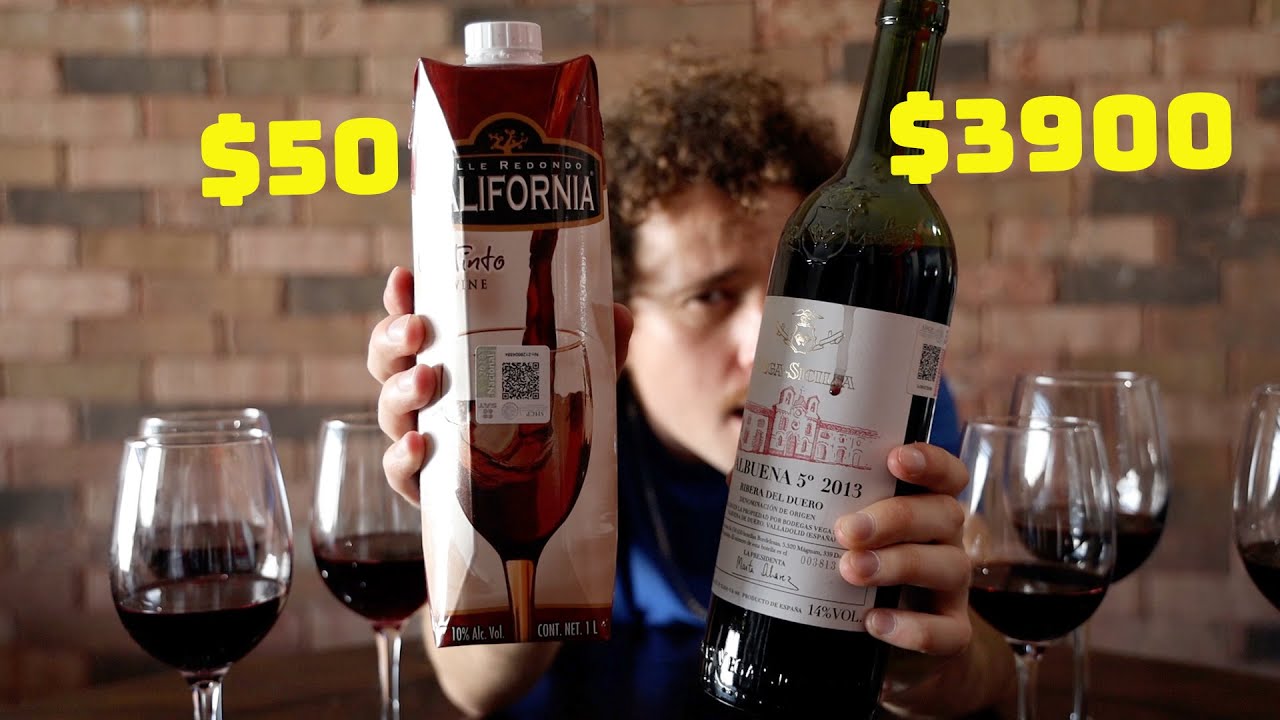 ADIVINA EL VINO | Muy Barato vs Caro | ¿Saben diferente?