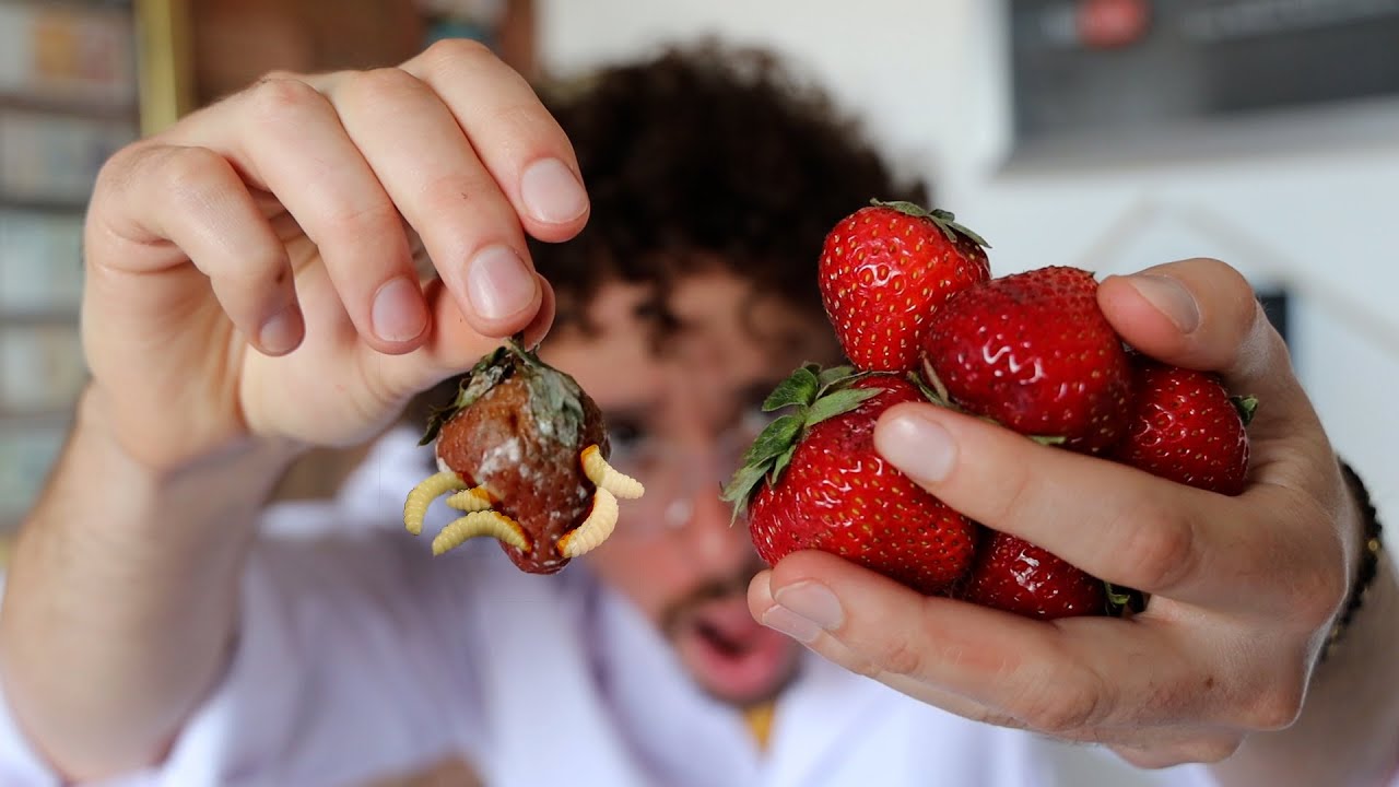 ¿Hay GUSANOS en tus FRESAS? | Experimento de TikTok
