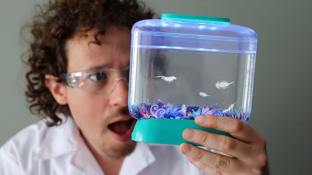 ¿Realmente funcionan los DRAGONES ACUÁTICOS? | Aqua Dragons  ‍