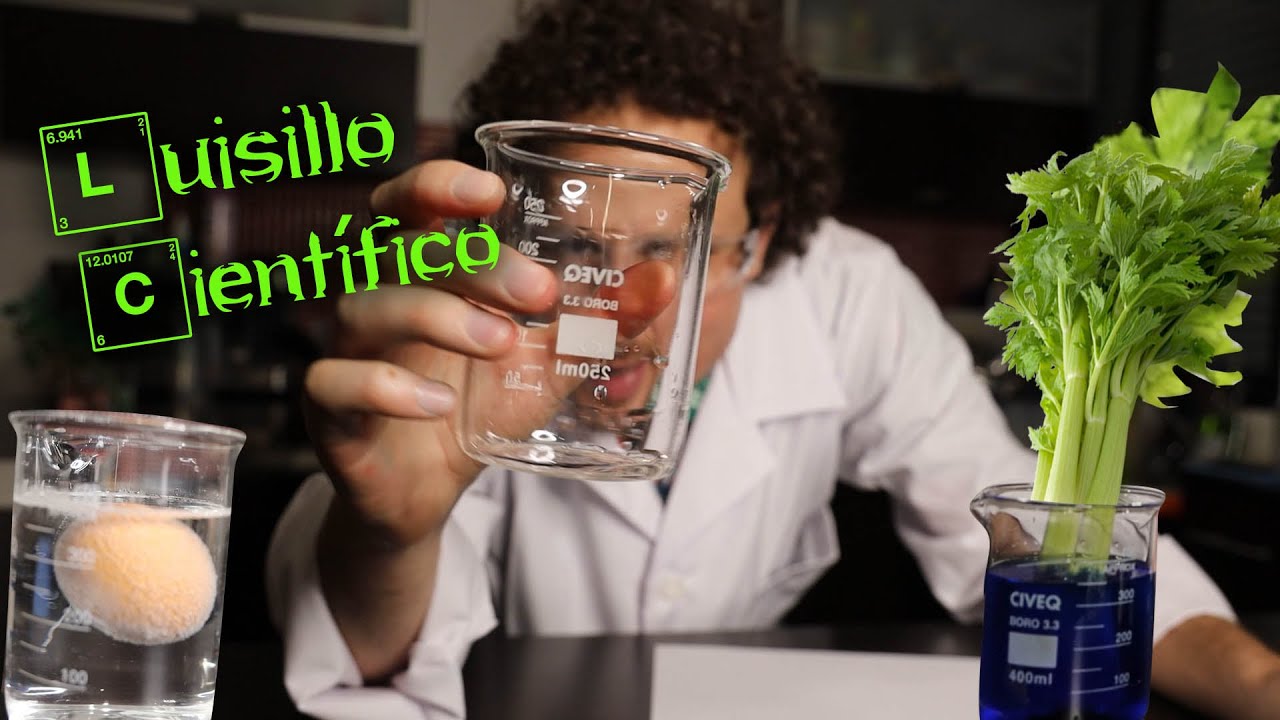 EXPERIMENTOS CASEROS SORPRENDENTES   | Luisillo El Científico  ‍