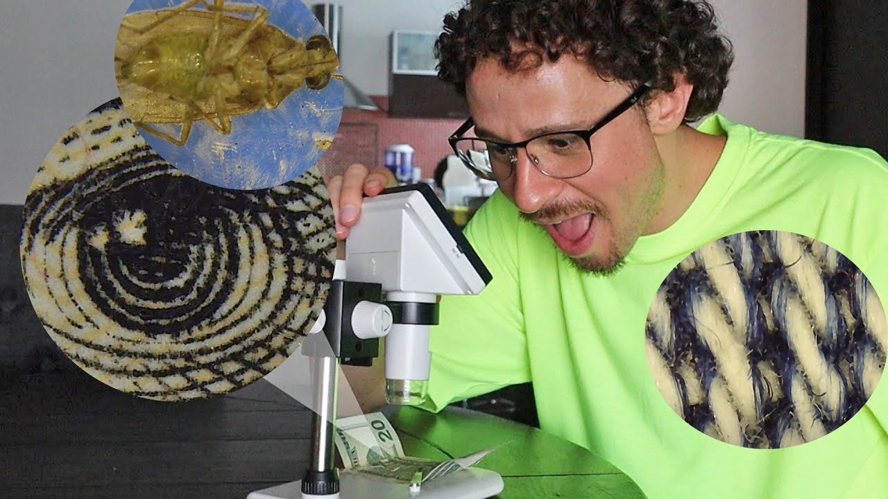 Viendo cosas 1,000 veces su tamaño con un microscopio