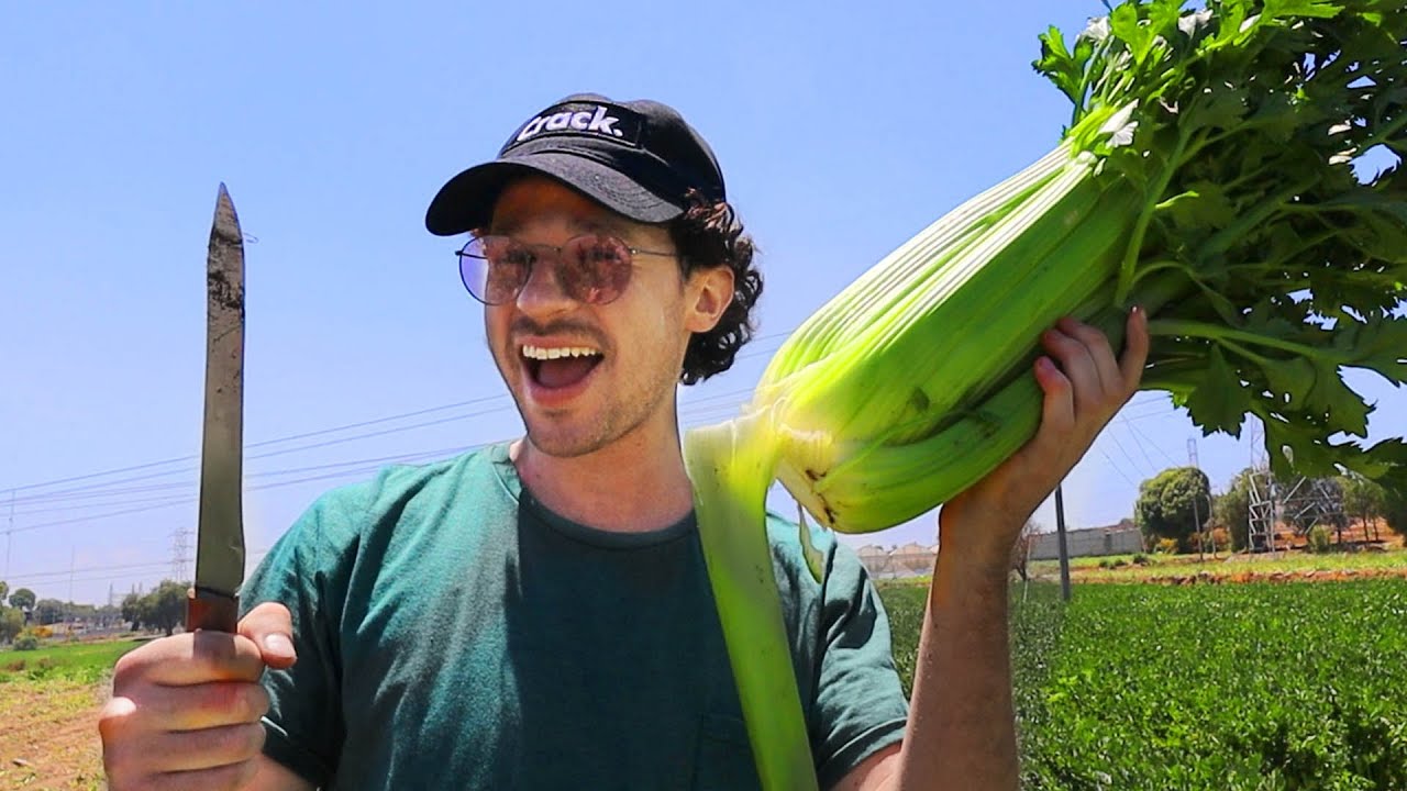Un día trabajando en una GRANJA  ‍