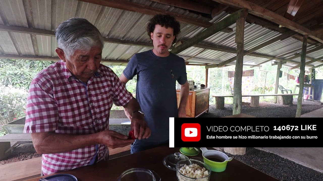 ¿Me dieron leche de tortuga?   | Contenido Extra: PALOMOS PREMIUM