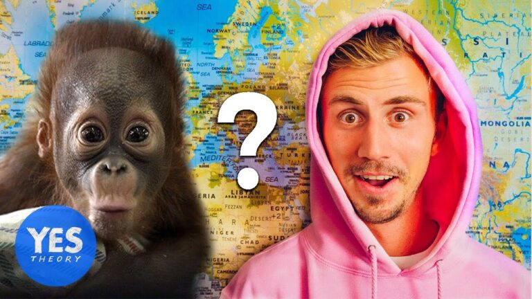 Letting a Monkey Decide which Country we Fly to... hq720