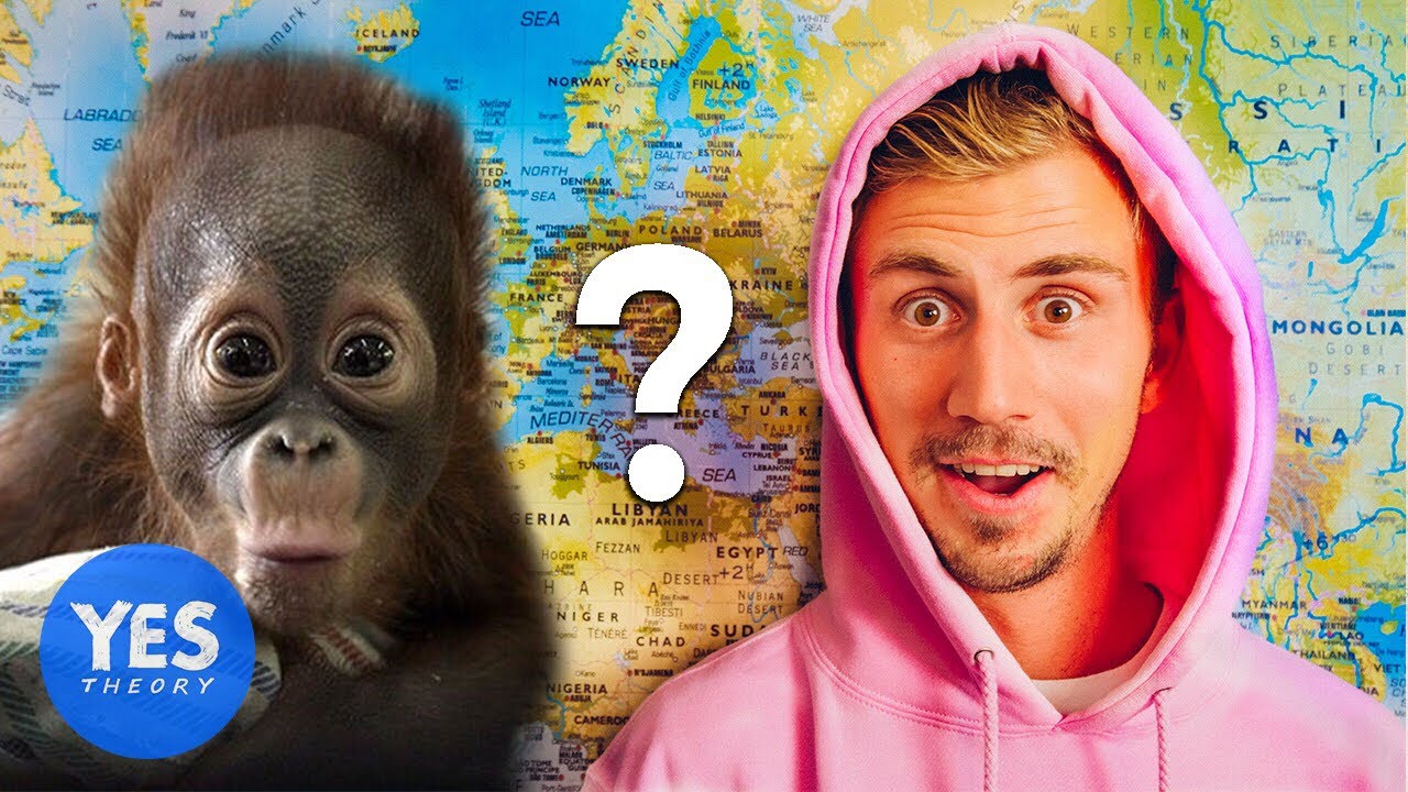 Letting a Monkey Decide which Country we Fly to…