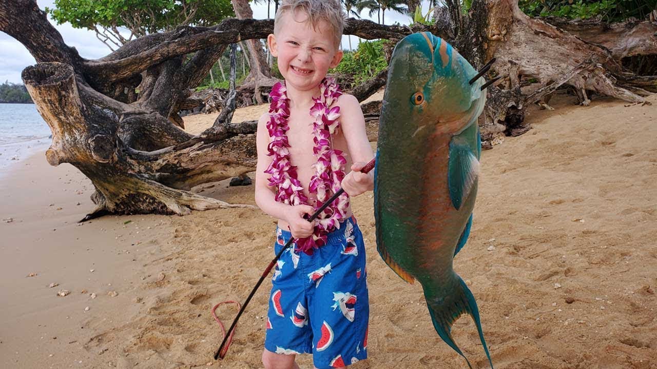 Exploring Every Island in Hawaii – 9 weeks fishing, camping, hiking, diving & exploring