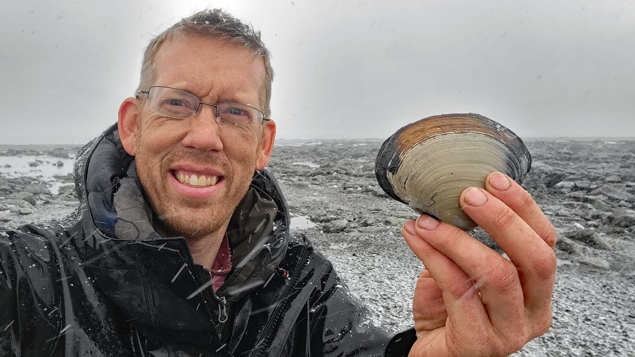 Camping, Fishing & Clamming in a Snow Storm – Coastal Foraging in Alaska