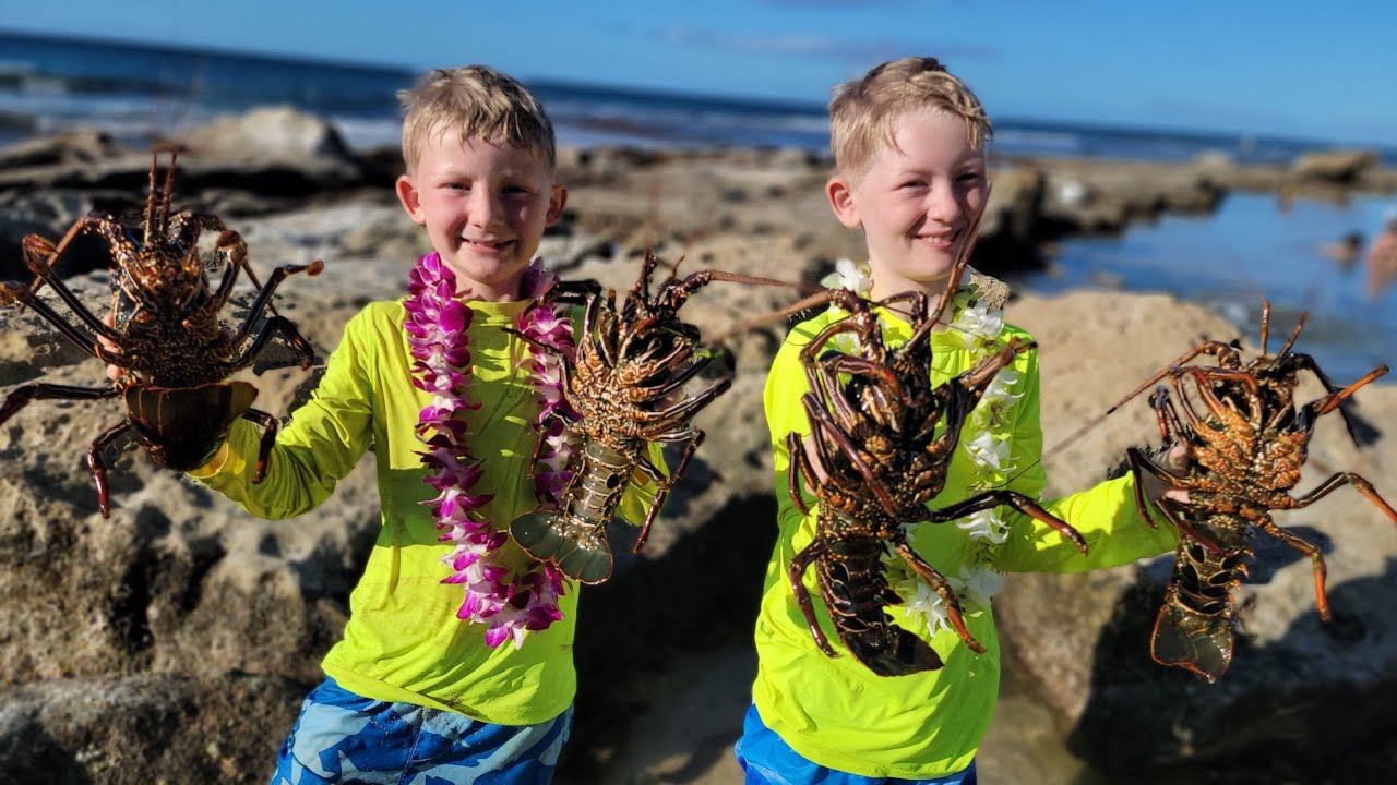 9 Days Fishing & Foraging in Hawaii – Lobster Diving + Spearfishing Catch & Cook