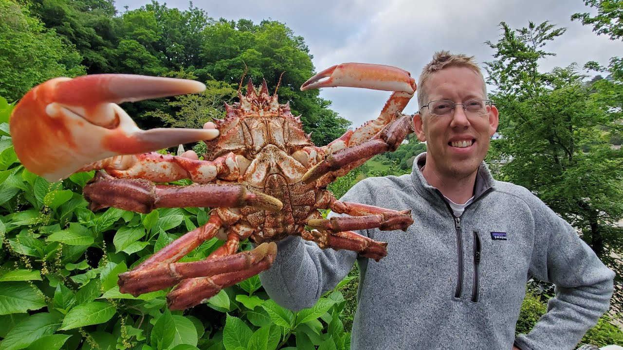 Spearfishing, Diving & Snorkeling Entire UK – Catch & Cook Crabs, Scallops & Fish
